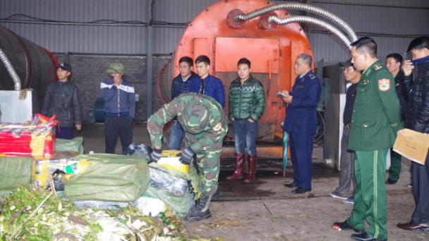 Quảng Ninh: Tiêu hủy hàng chục thùng cá vận chuyển từ nước ngoài về Việt Nam